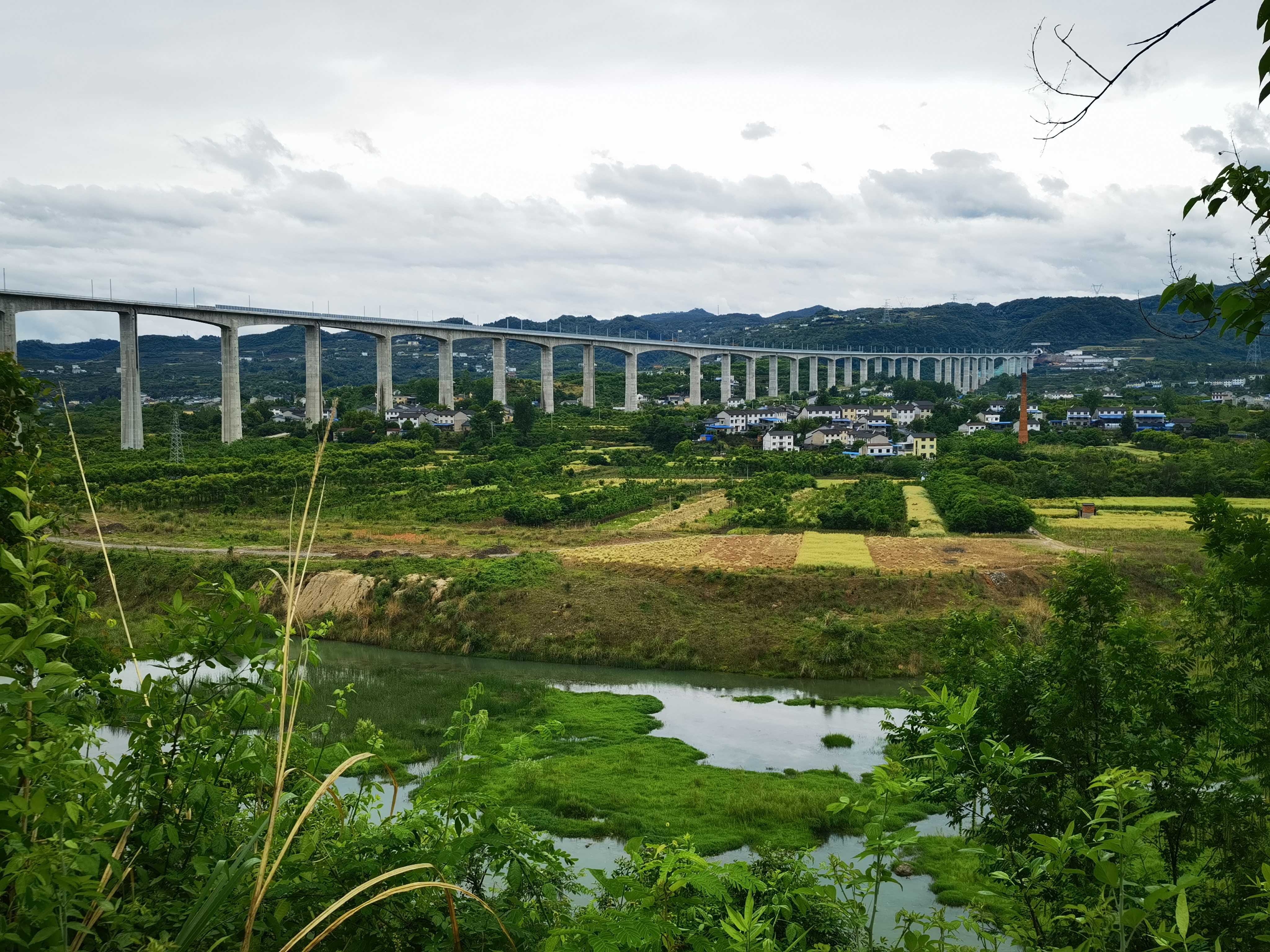 ��yun�����������