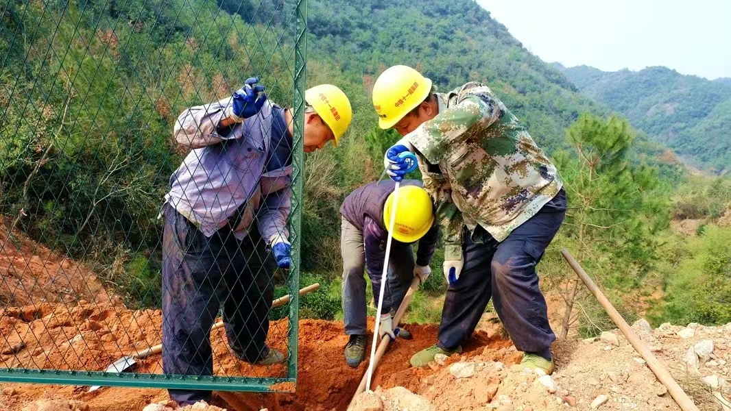 ��yun�����������