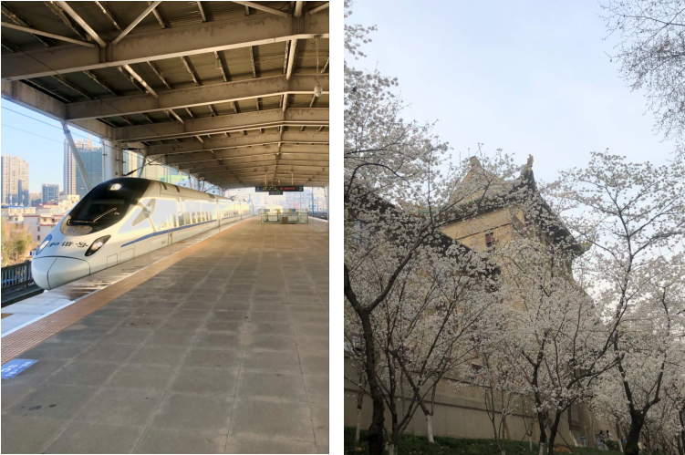 ¿ªyunÌåÓý¹ÙÍøÈë¿Ú