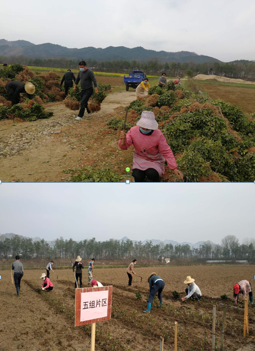 ��yun�����������