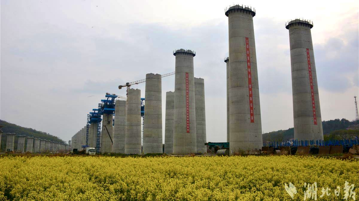 ��yun�����������