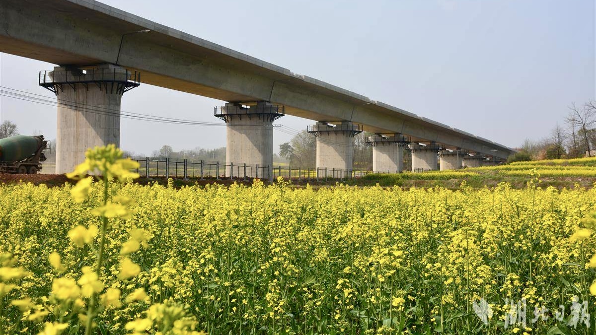 ��yun�����������