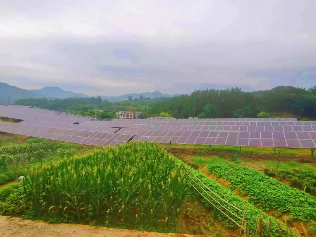 ¿ªyunÌåÓý¹ÙÍøÈë¿Ú