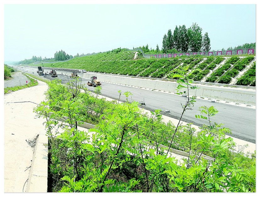 ��yun�����������