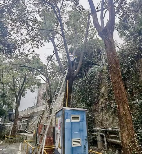 ��yun�����������